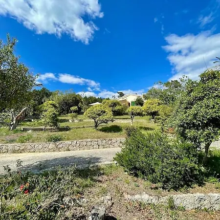 Holiday home Maison En Bord De Coggia